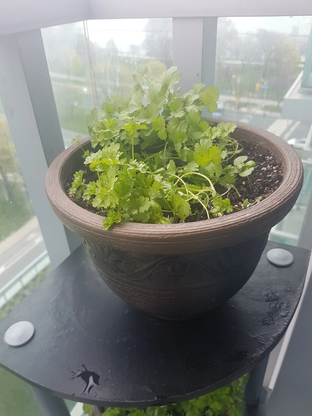 herb planter thumbnail