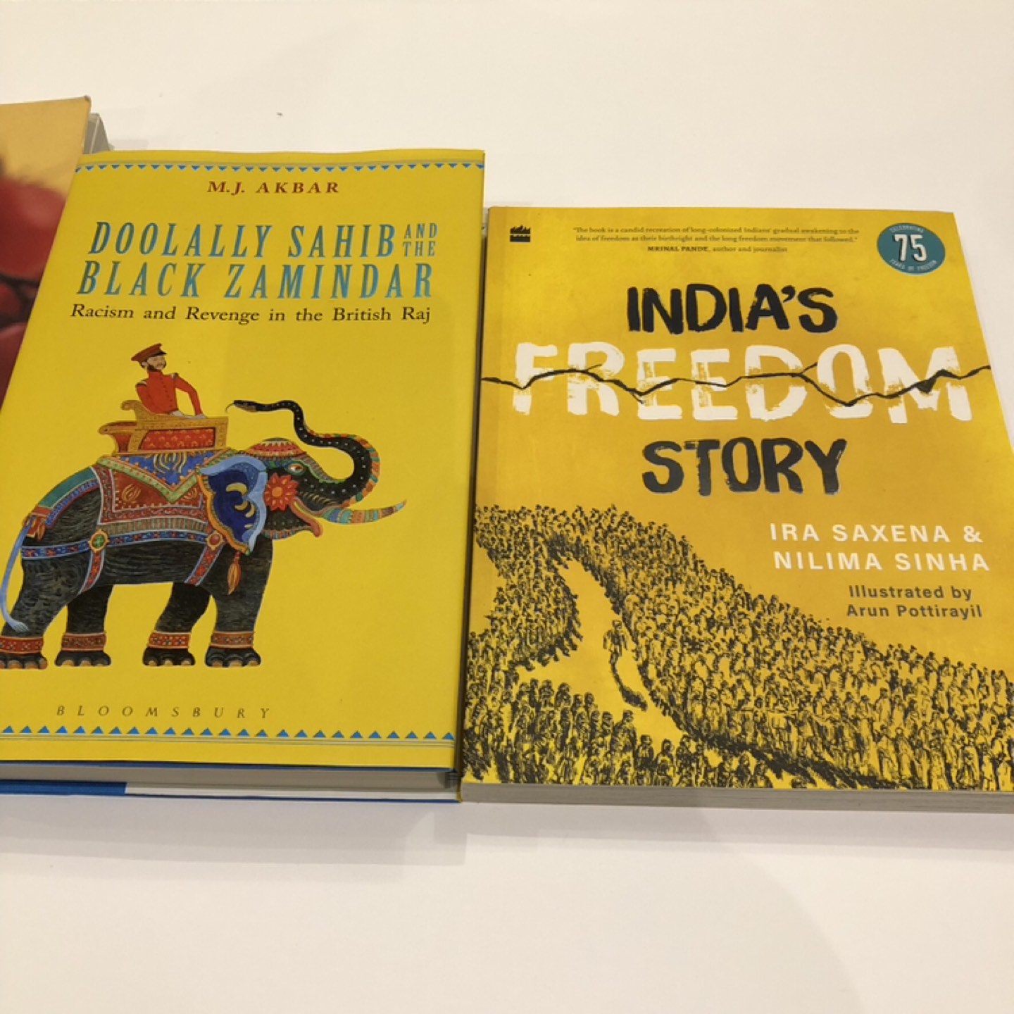 India’s History Book & Vegetarian Cooking Book