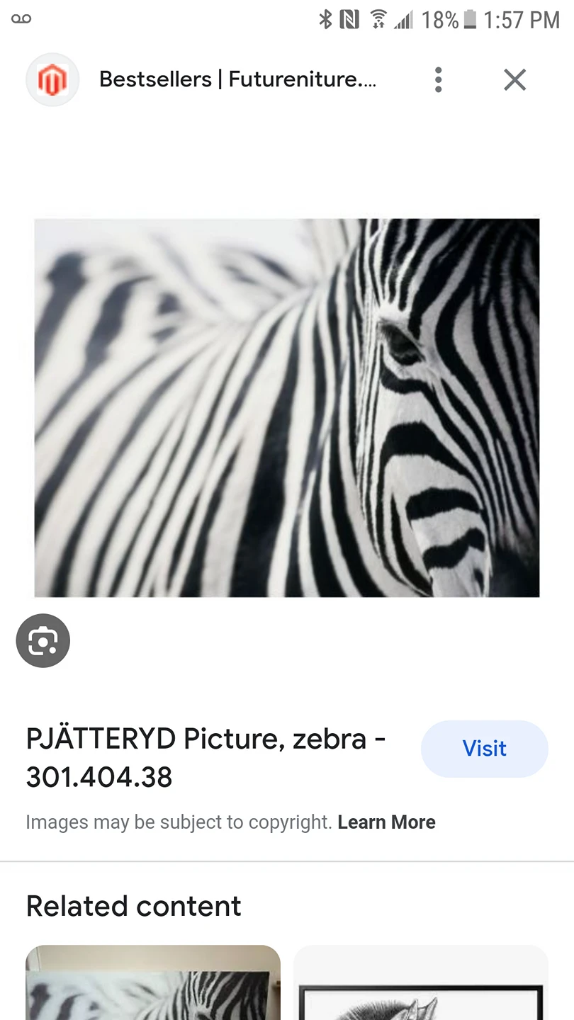 pjatteryd large canvas thumbnail