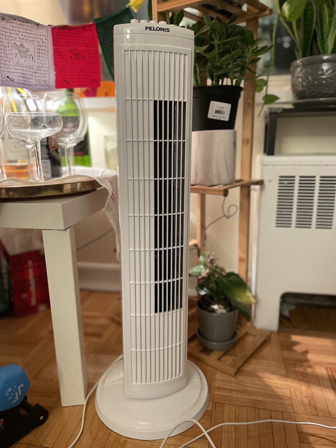 Fan