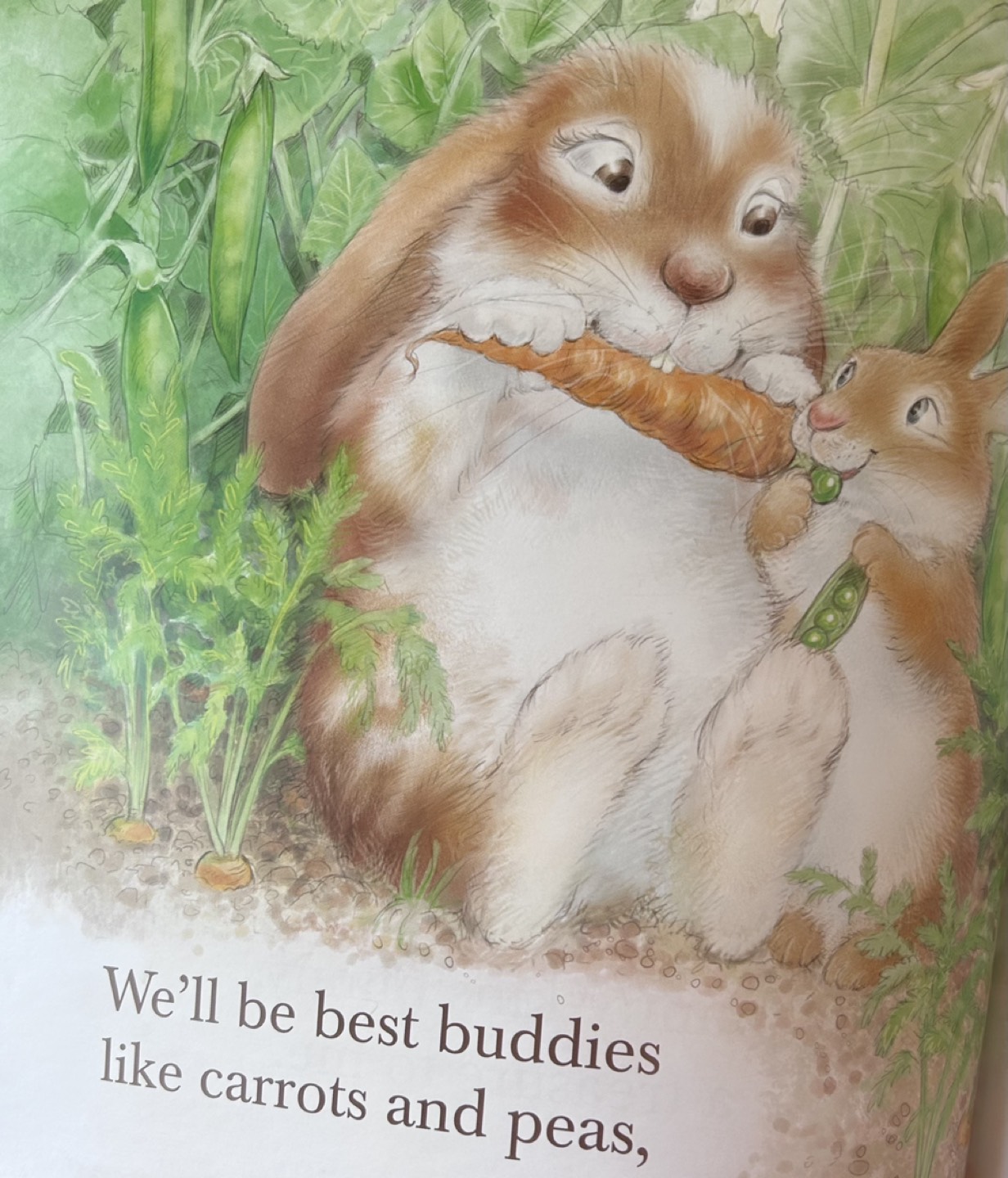 Book: Auntie Loves You - photo 5