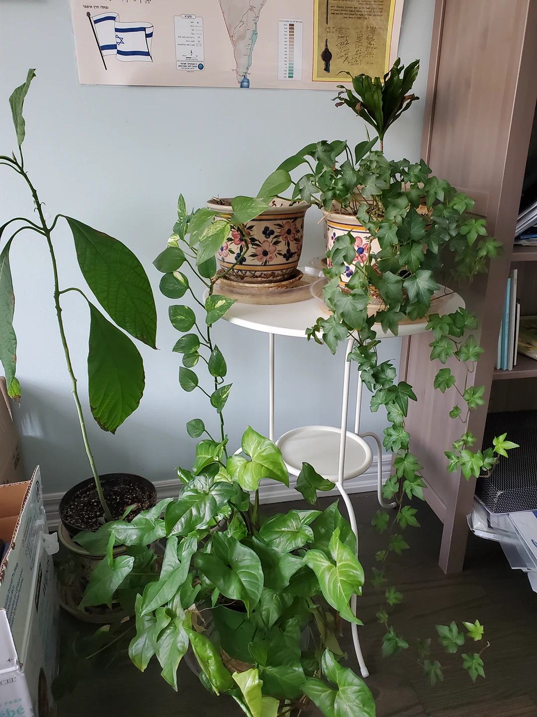 table and plants