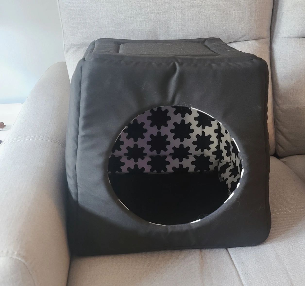 cat bed