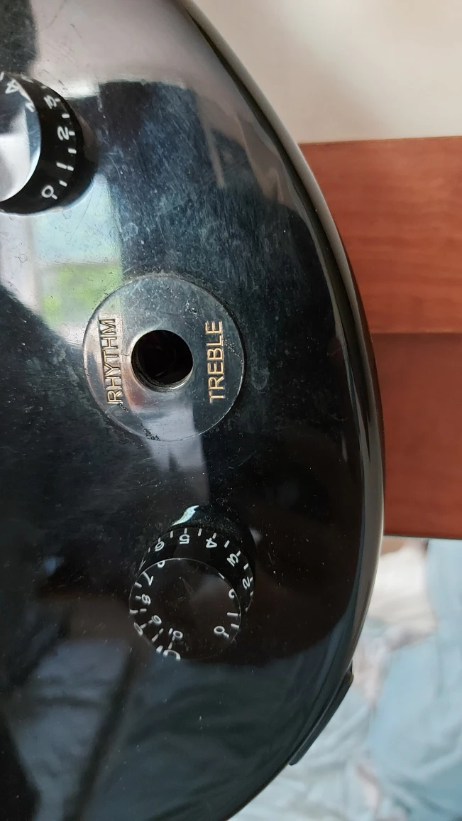 Guitar with Amp - photo 3