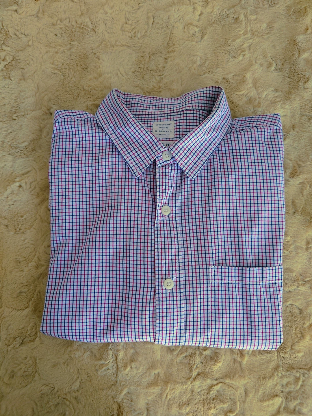 Giordano Cotton Shirt