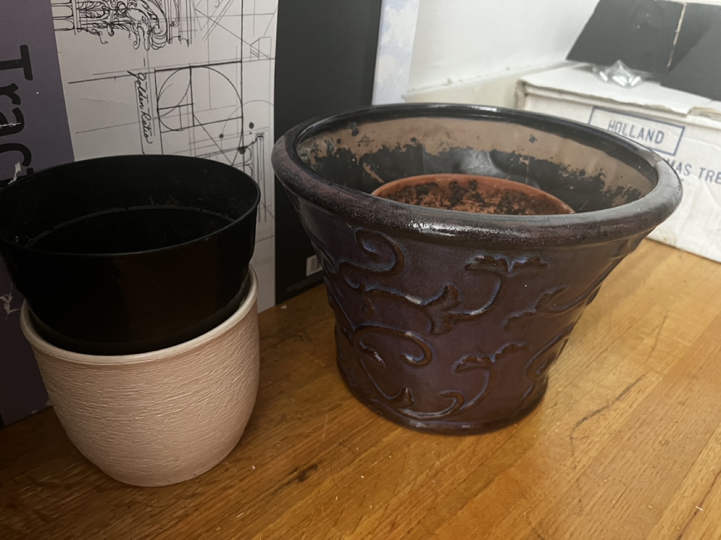plant pots thumbnail