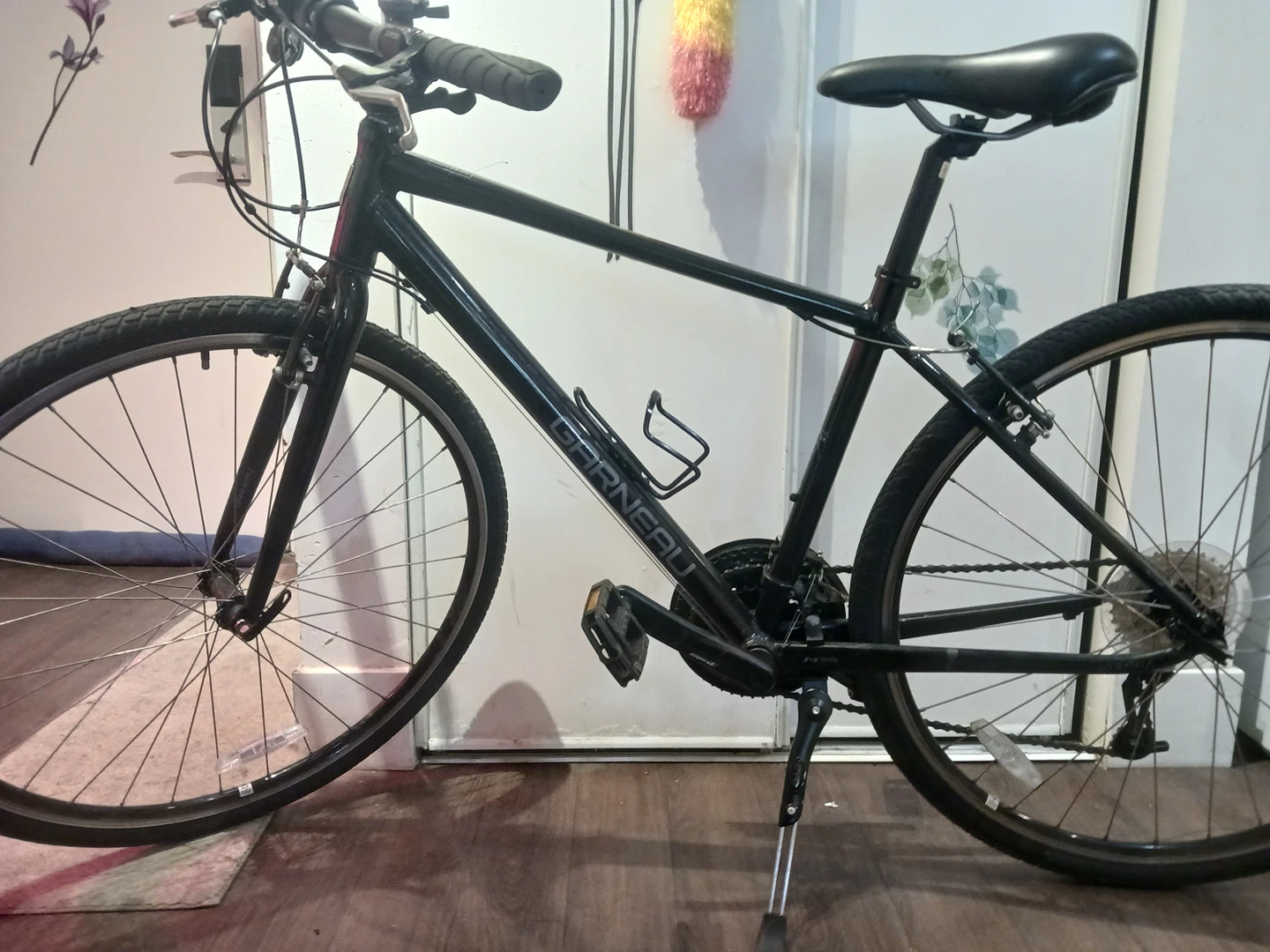 Garneau urbania 5 bike