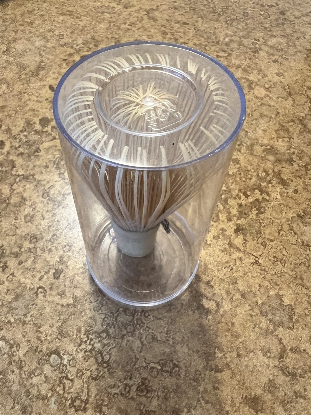Matcha Tea Bamboo Whisk 🌱