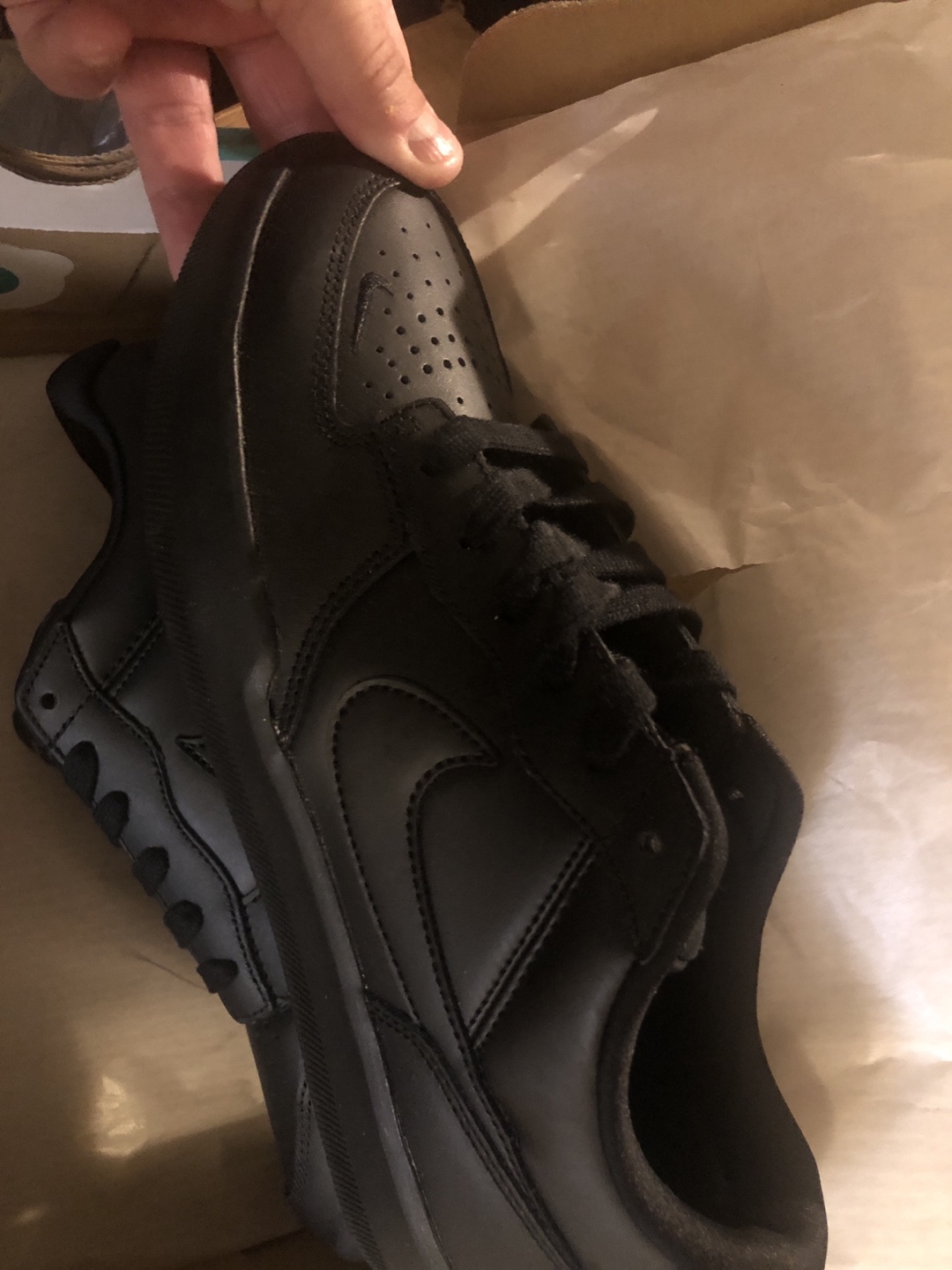 Brand new pair of Nike sb - photo 4