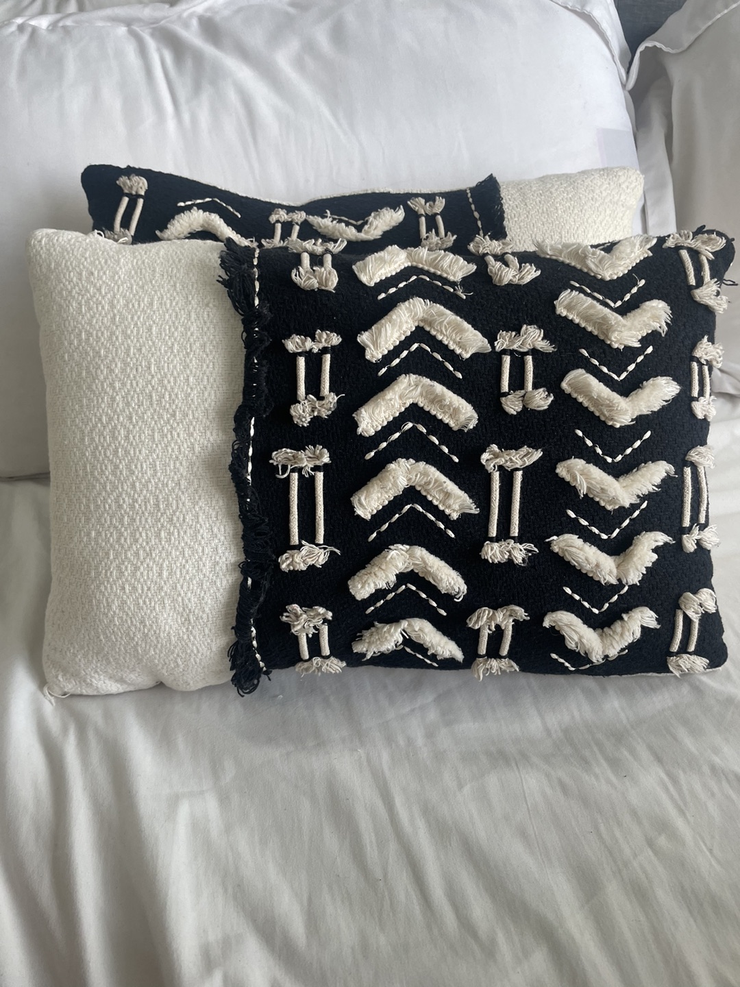 Two black&white throw pillows