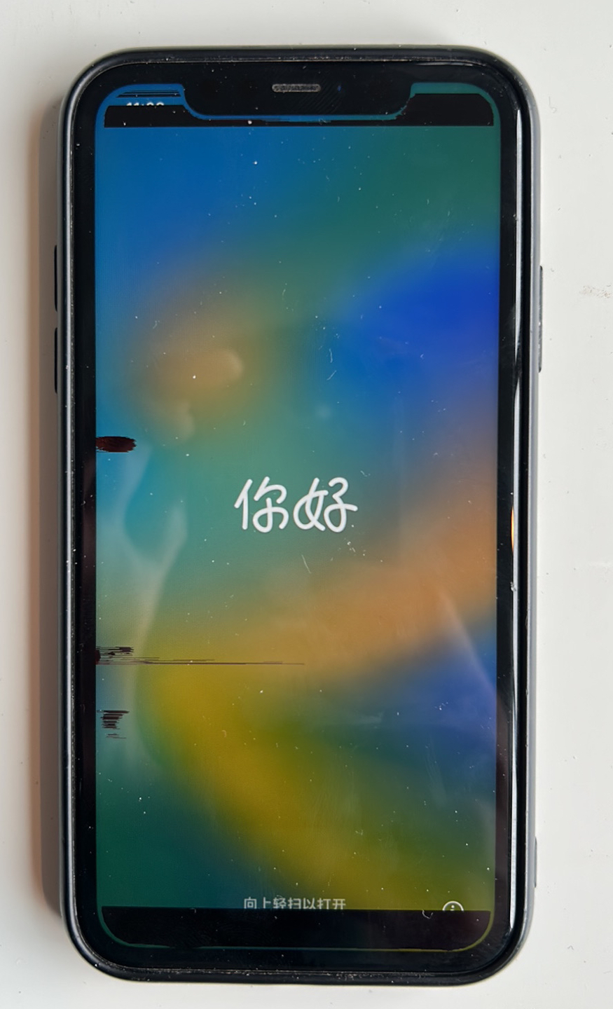 iPhone 11 (2019) - photo 4