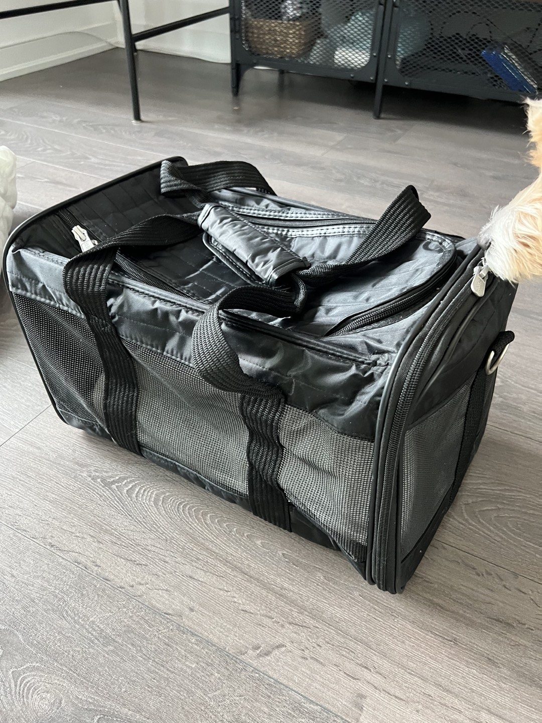 Almost New! Soft Pet Carrier