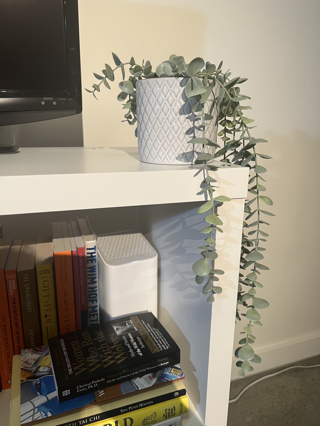 Decorative plants image indicator(3)