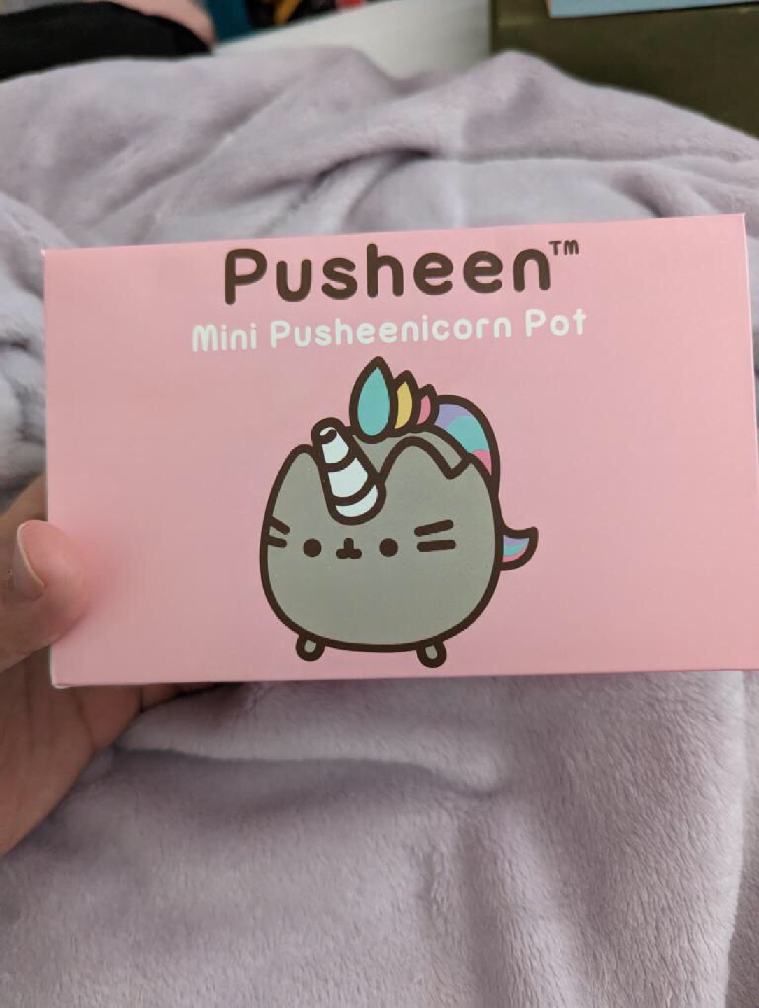 Small Pusheen Ceramic Planter image indicator(2)