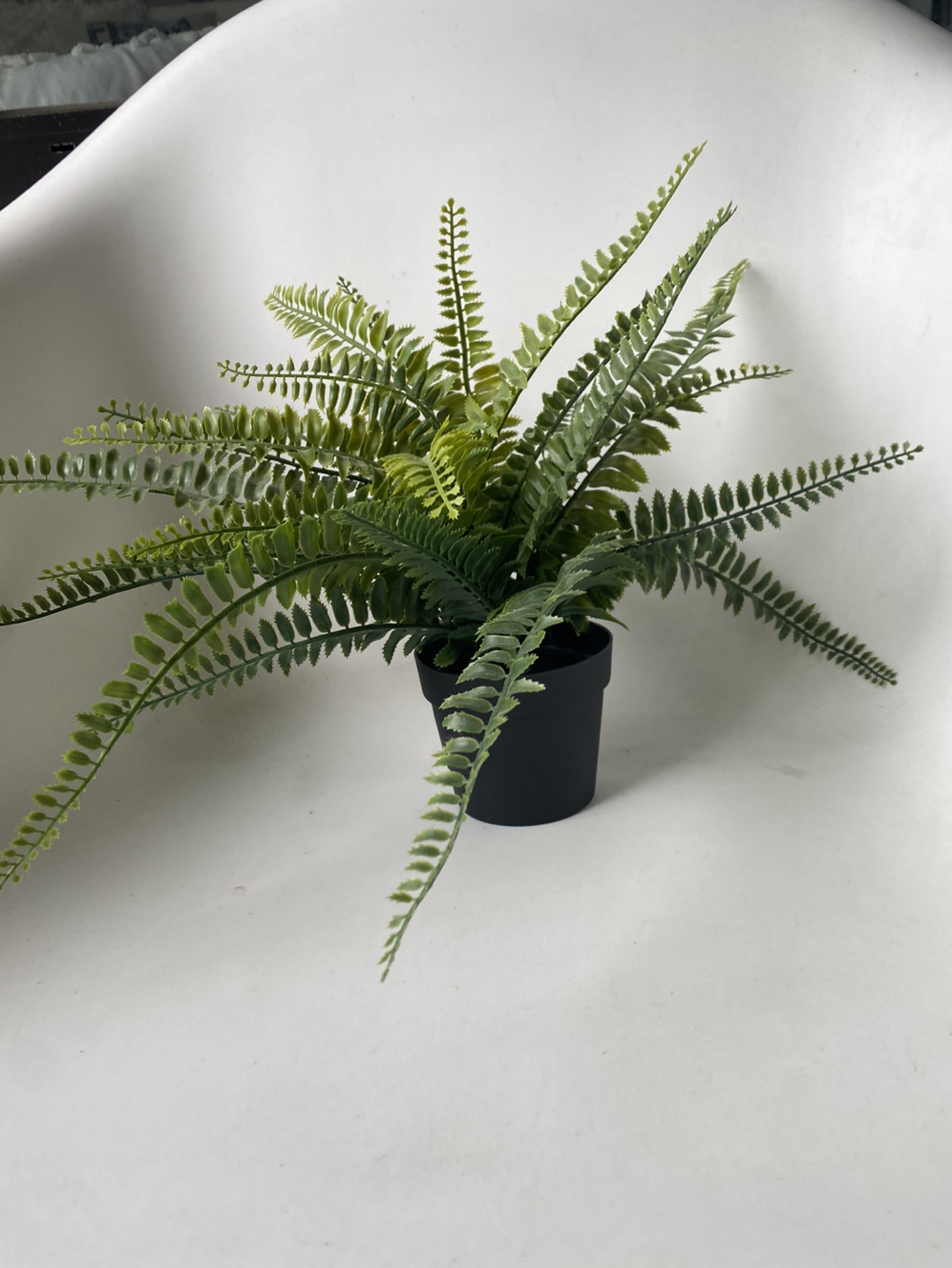 Fake plant thumbnail