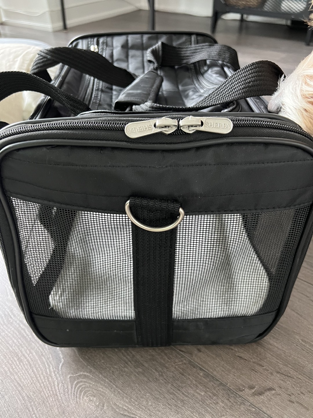 Almost New! Soft Pet Carrier - photo 3