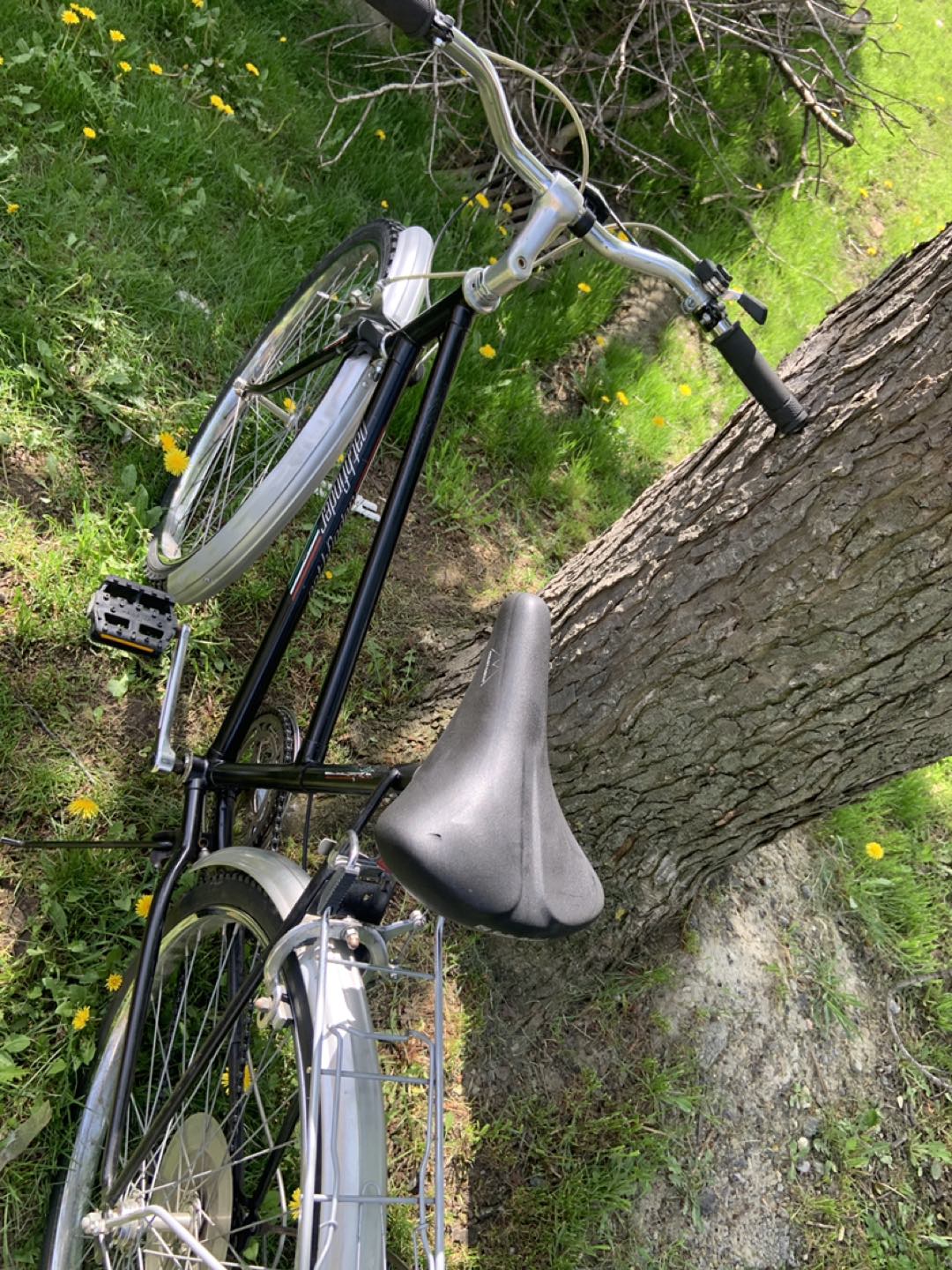 pathfinder adults ladies mountain bike 26 inches wheels image indicator(5)