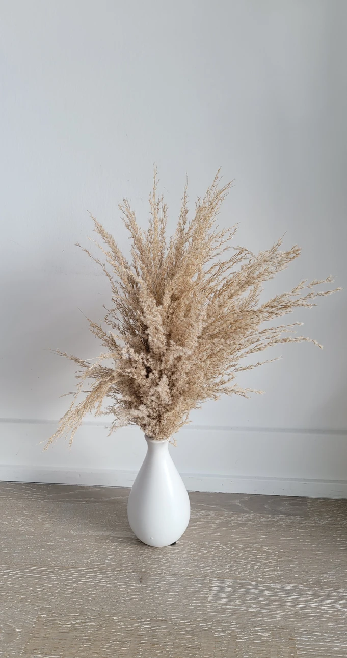 Dried pampas grass vase thumbnail