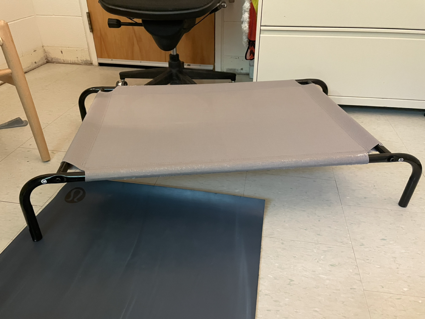 Dog bed thumbnail