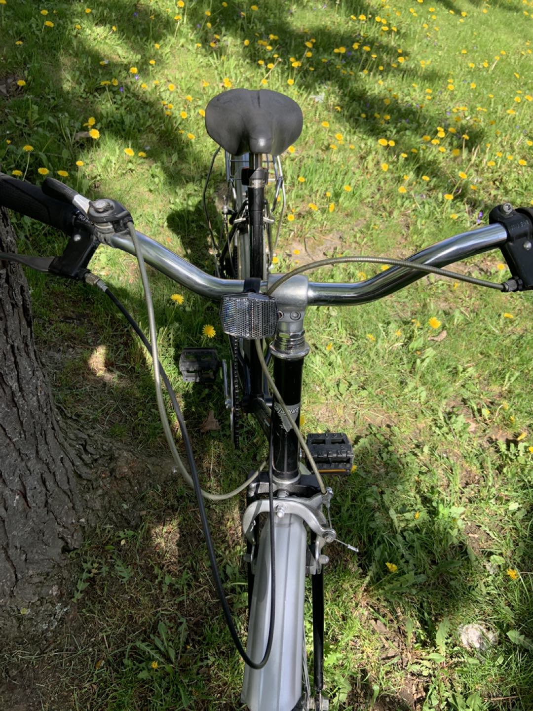 pathfinder adults ladies mountain bike 26 inches wheels image indicator(8)