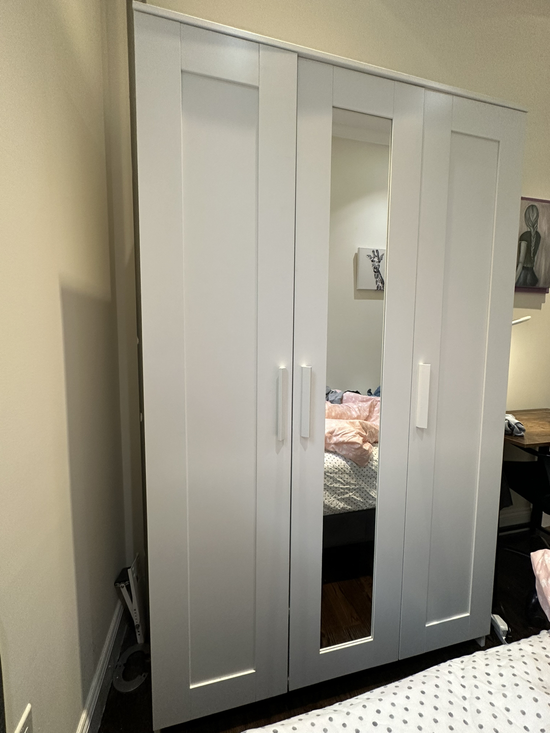 IKEA CLOSET - photo 4