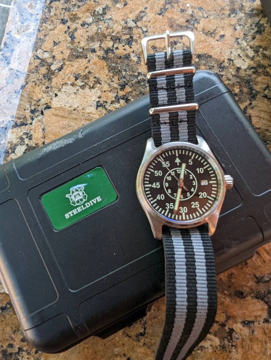Steeldive and Tandorio Automatic Watches - photo 2