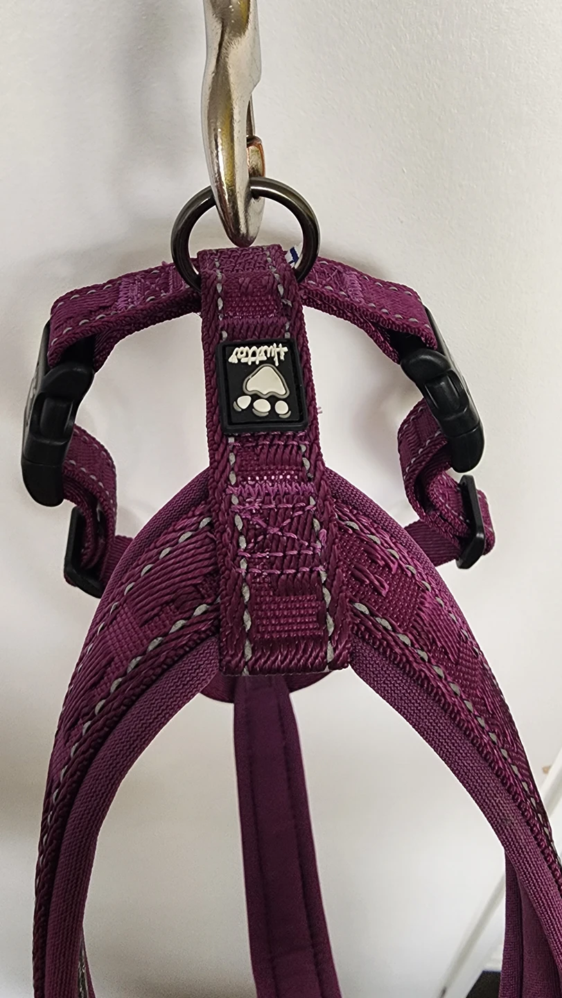 Hurtta Casual Padded Dog Y-Harness image indicator(4)