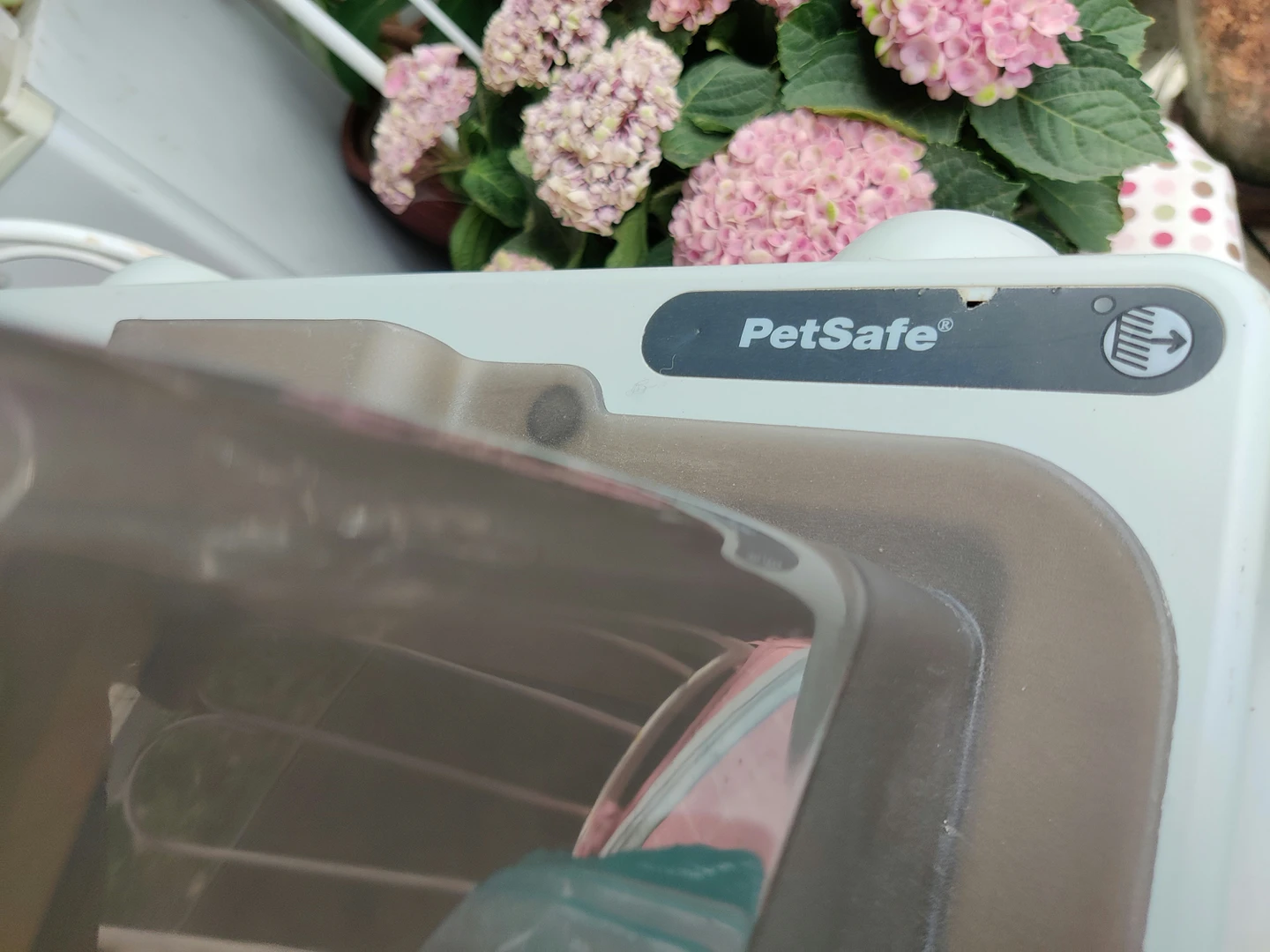 Petsafe self cleaning litter box image indicator(3)