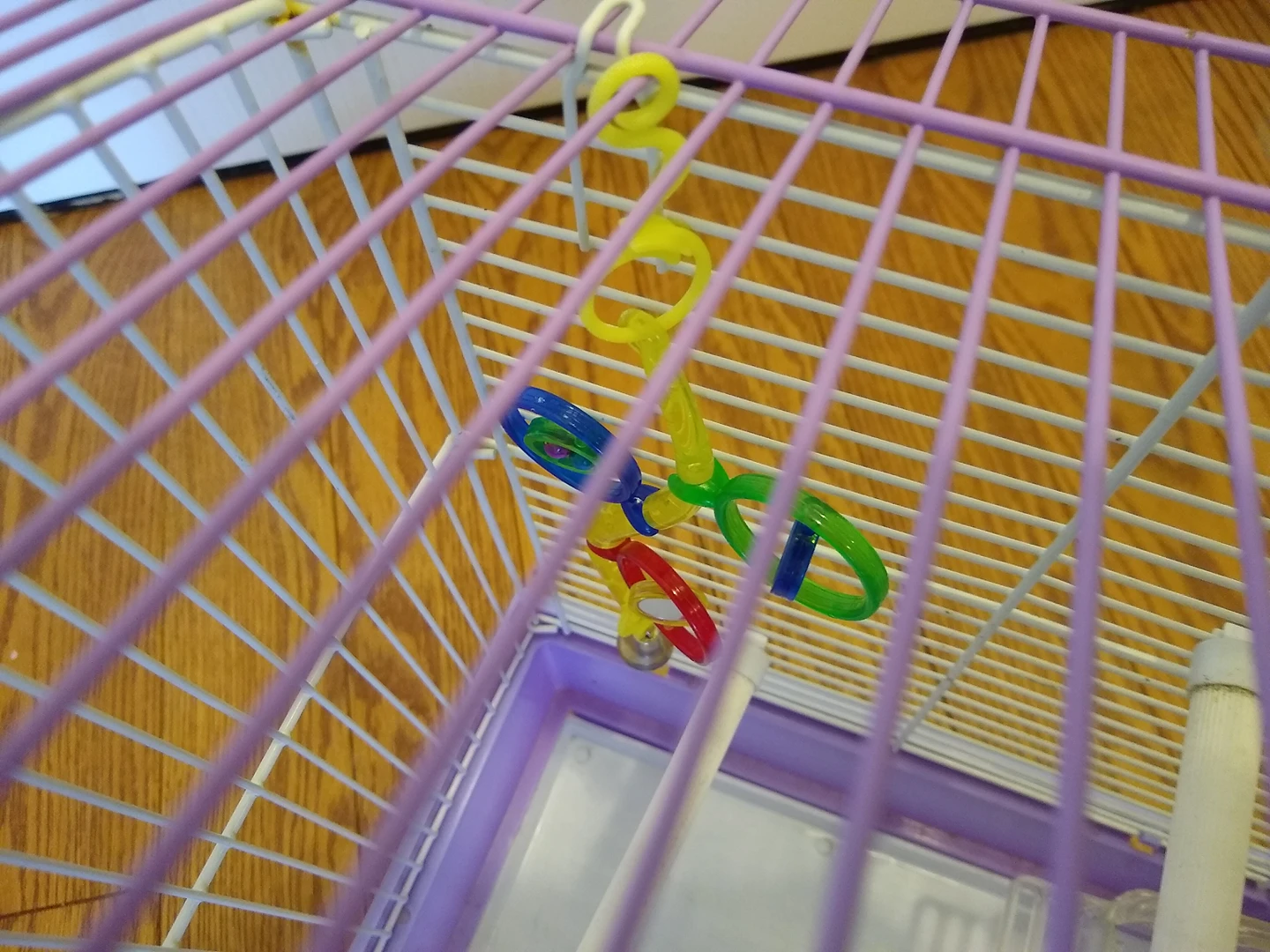 Bird Cage with Accessories image indicator(5)