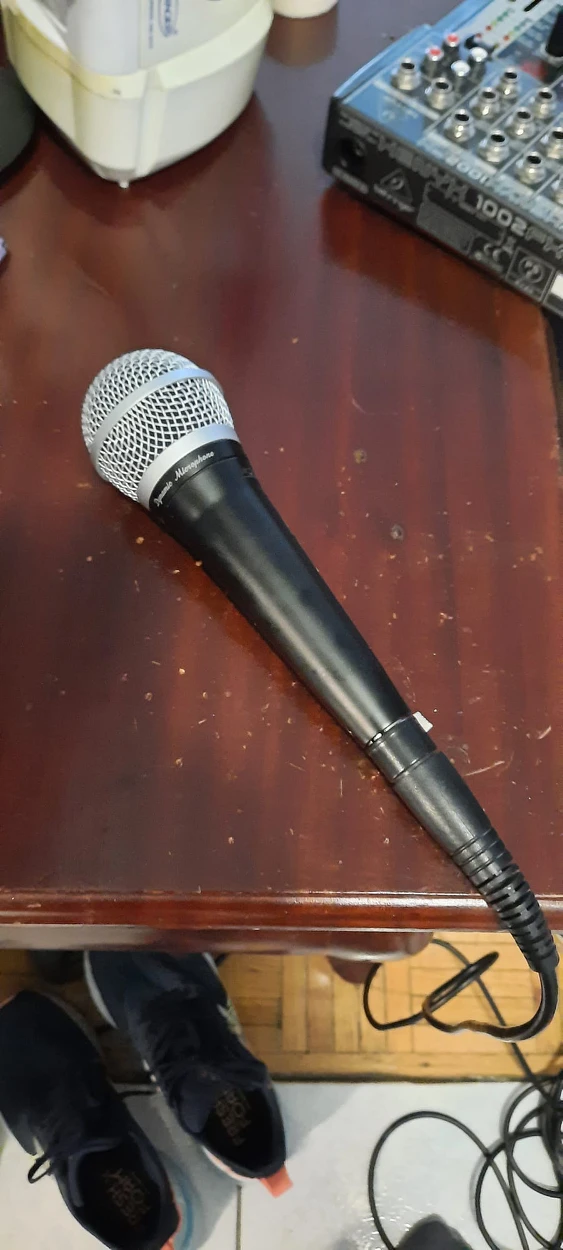 Entertainment  system with Mike image indicator(2)