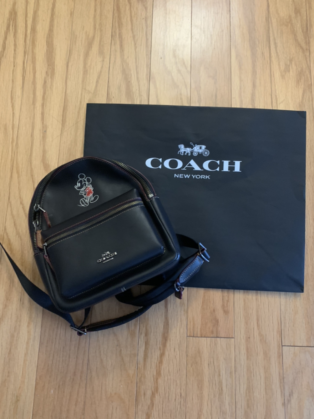 Coach Disney Mickey Backpack