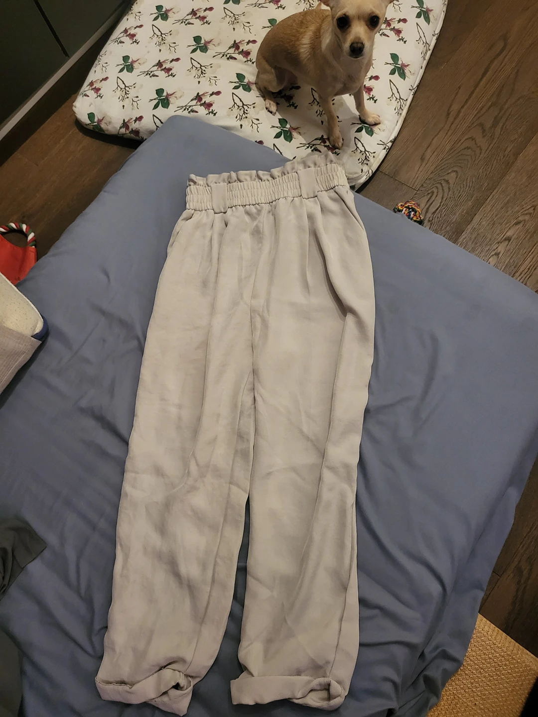 Zara Pants thumbnail