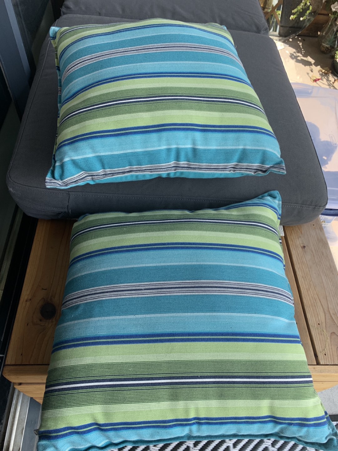 Outdoor throw pillows. Both for $8