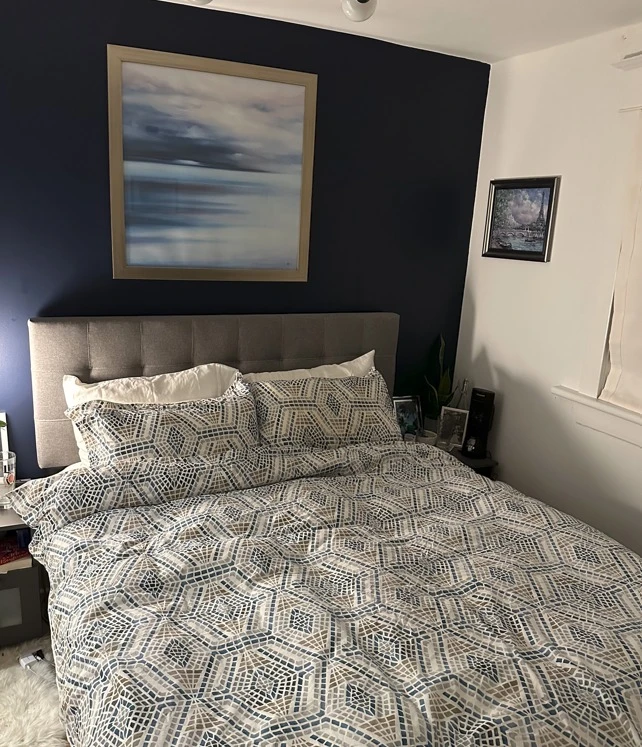 Moving sale  queen size storage bed