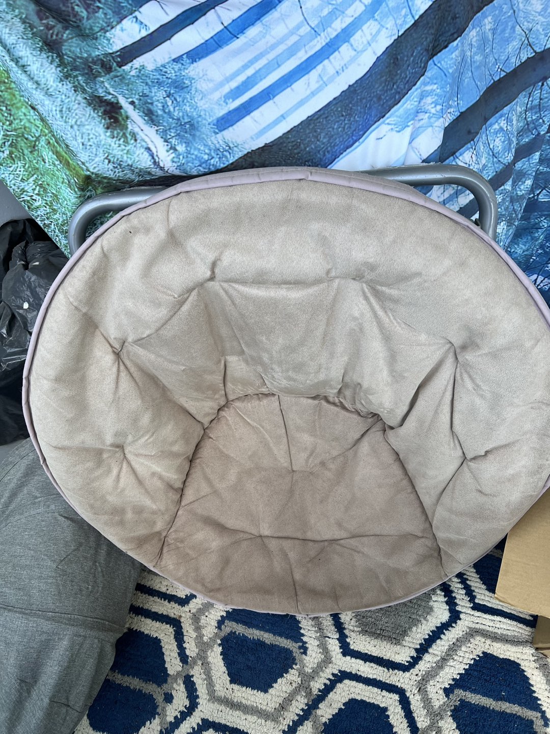 Saucer chair with metal frame 🌱 image indicator(4)