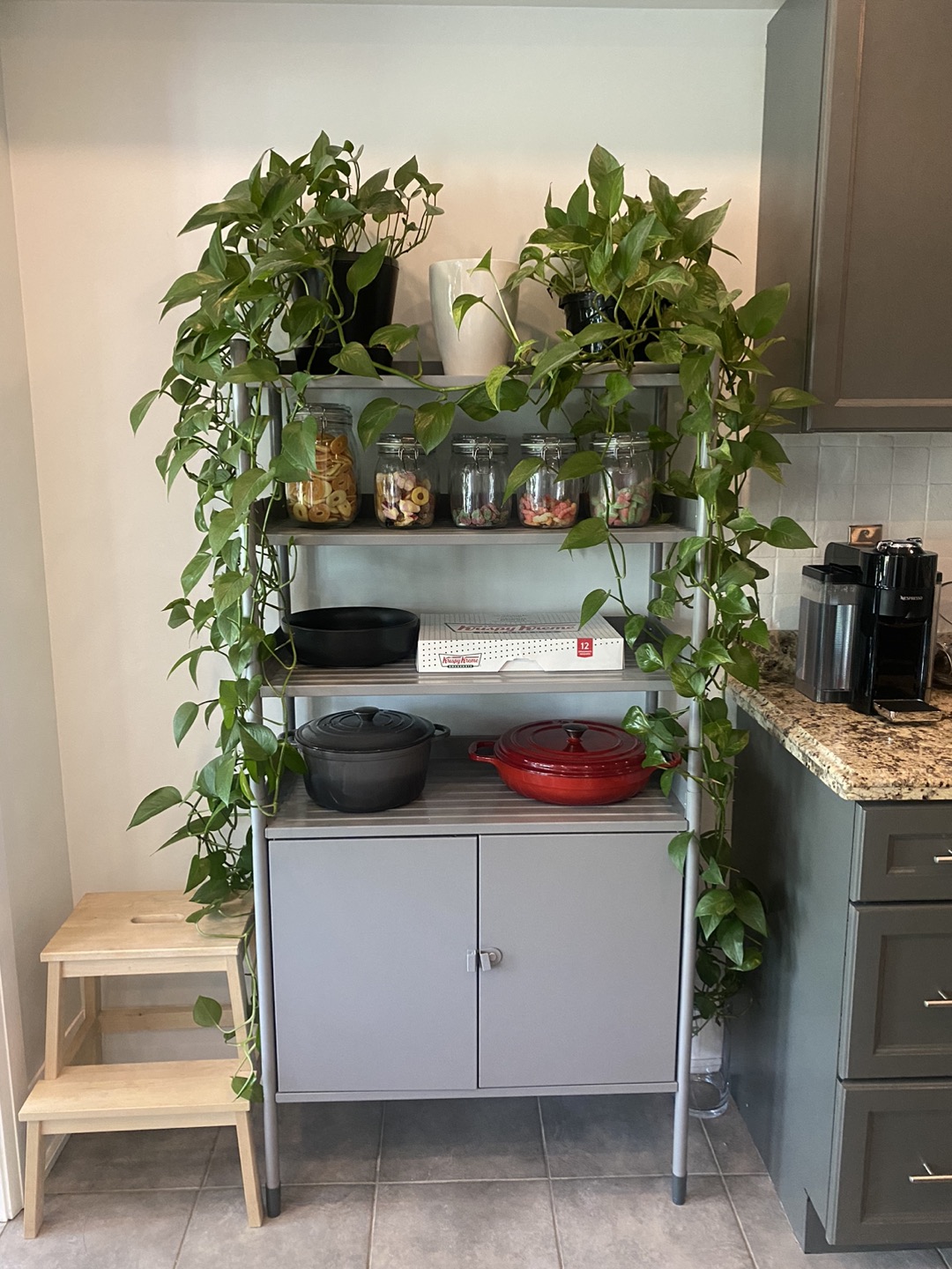 Storage Shelf with Cabinet