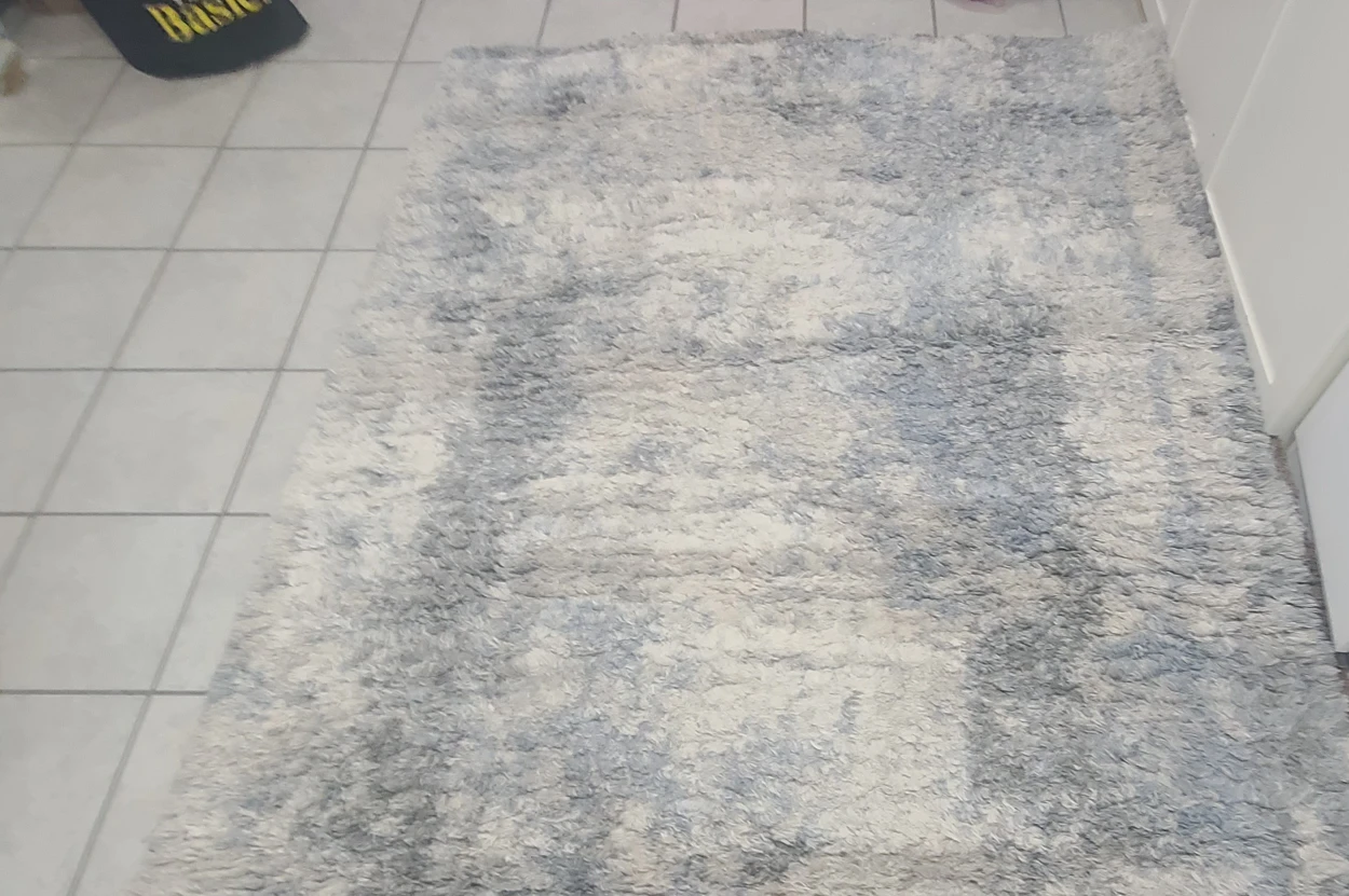 shag rug 5×7 - photo 2