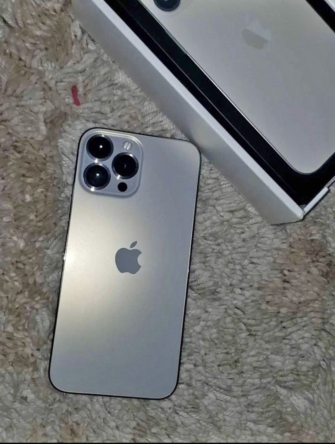 iPhone 13pro Max