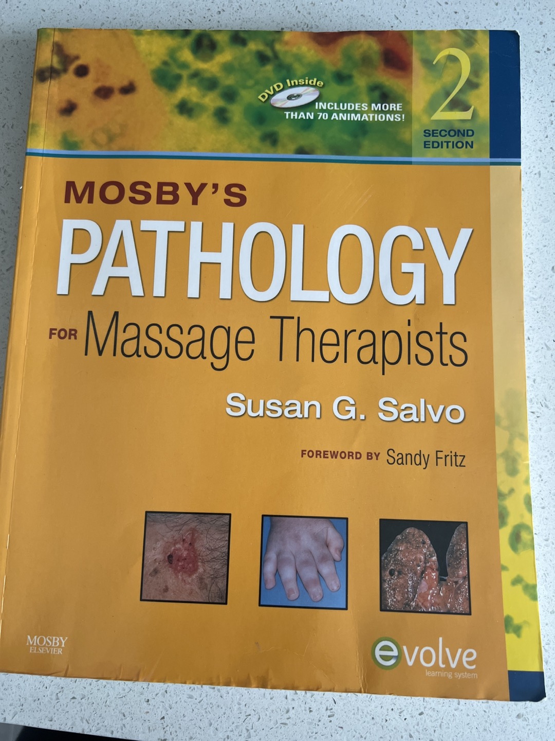 Massage therapy book thumbnail