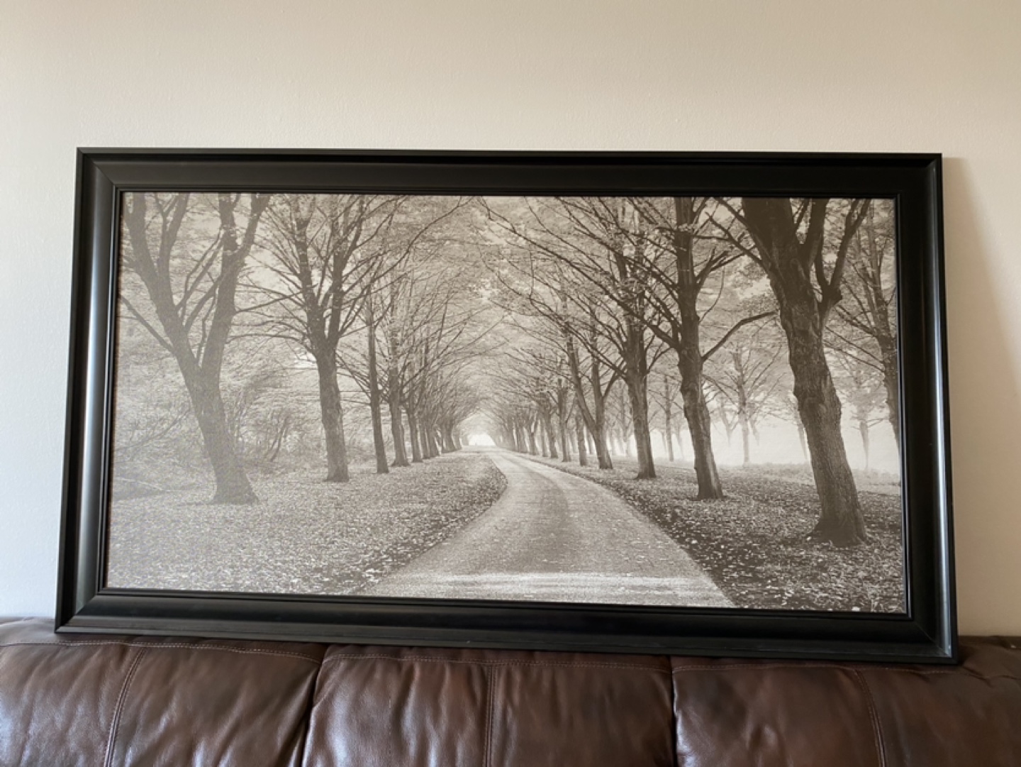 Winter Path Picture thumbnail