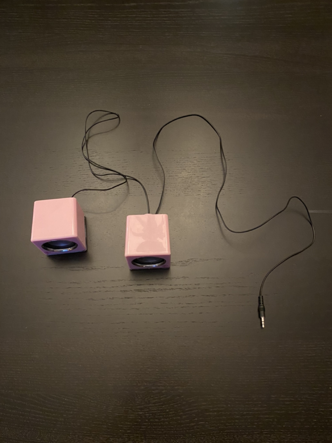 Pink Dual Speakers