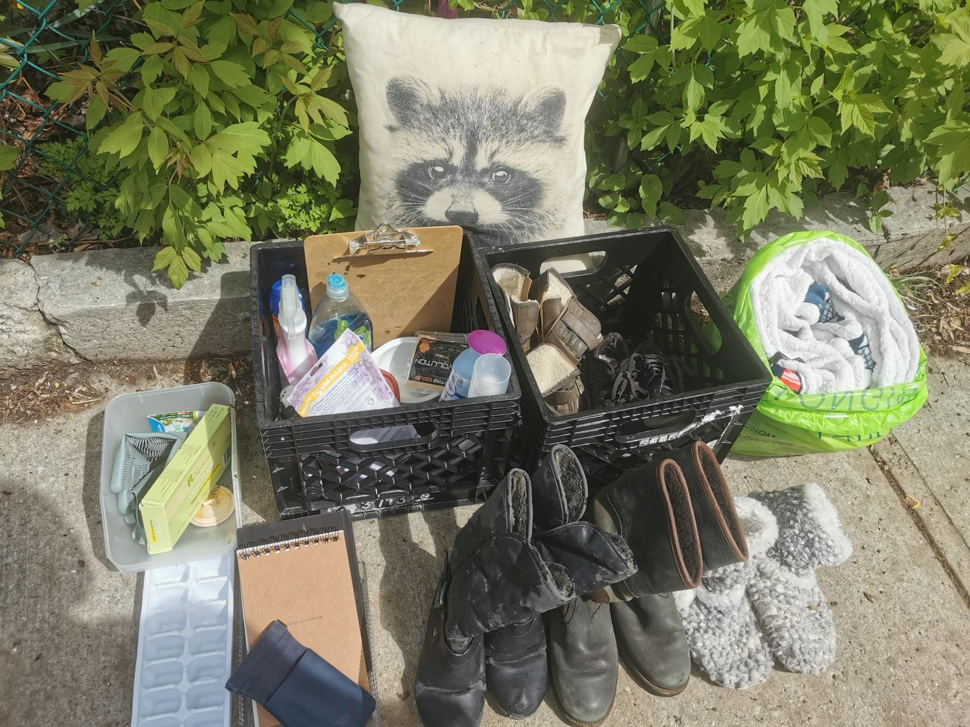 Free! Mix of woman's footwear and household items - photo 2