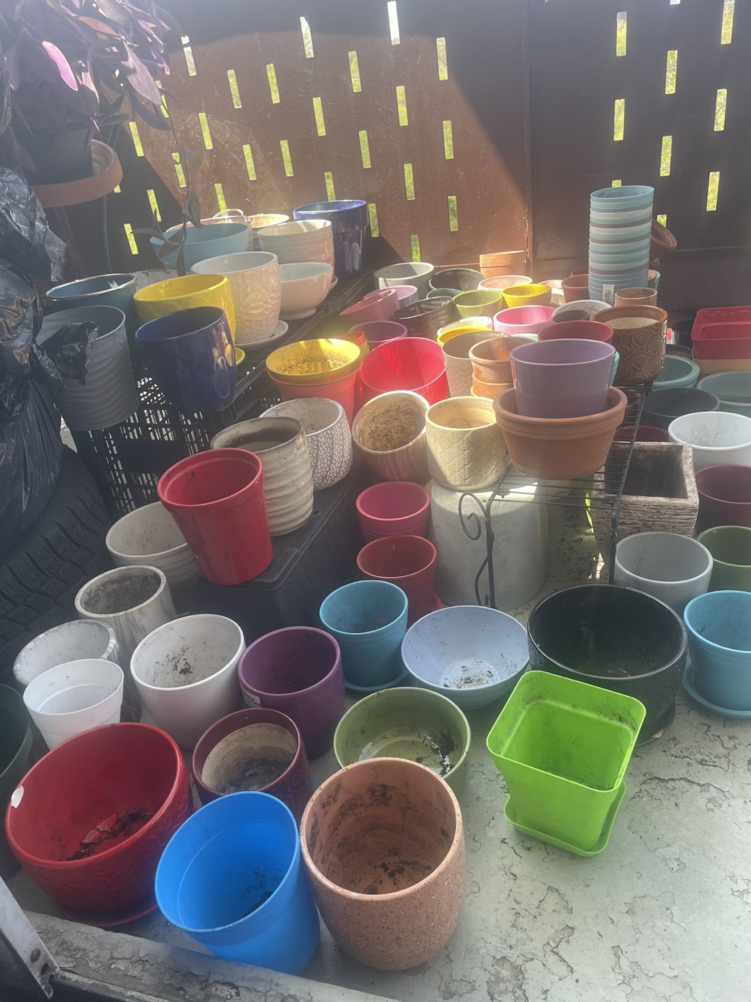 FLOWER POTS