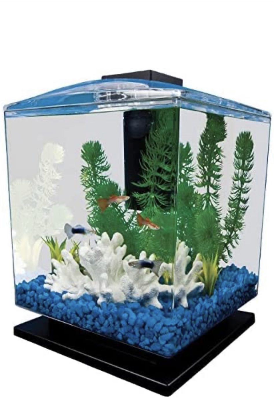 Tetra LED Aquarium Kit 1.5 Gallon Cube thumbnail