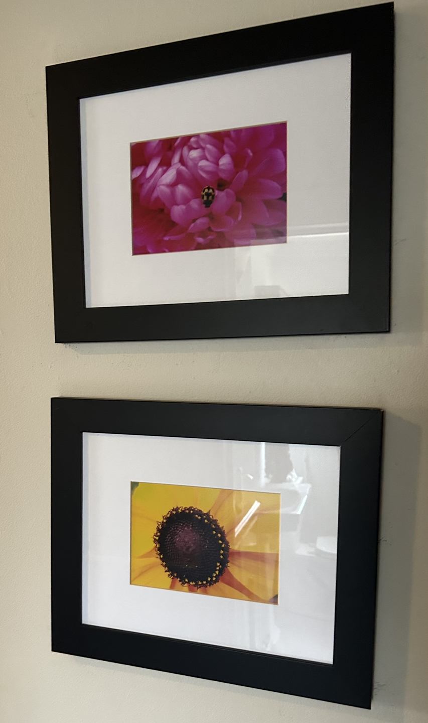 Framed flower photos image indicator(2)