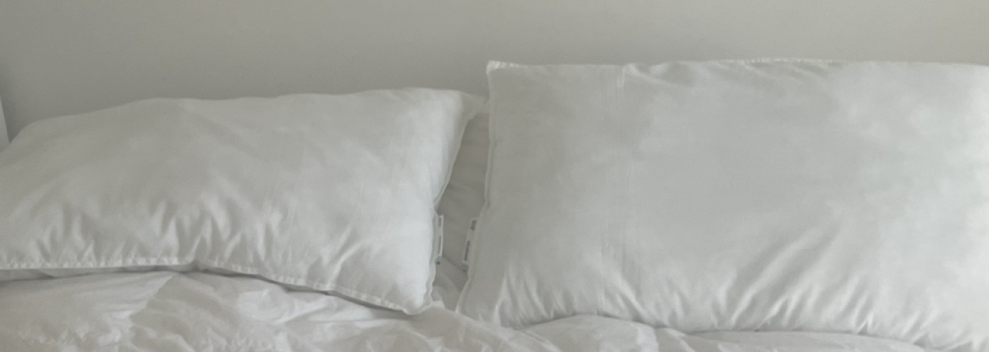 2 IKEA pillow $5/one