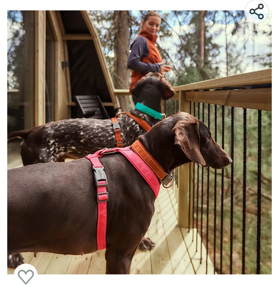 Hurtta Casual Padded Dog Y-Harness image indicator(2)