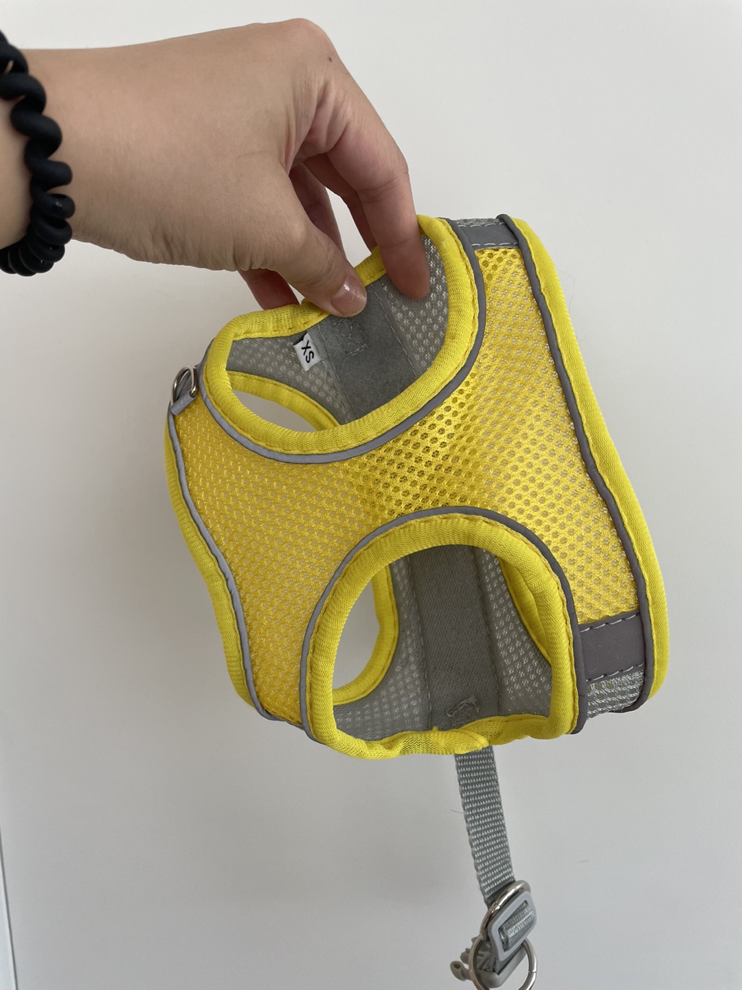 Xs pet harness and leash