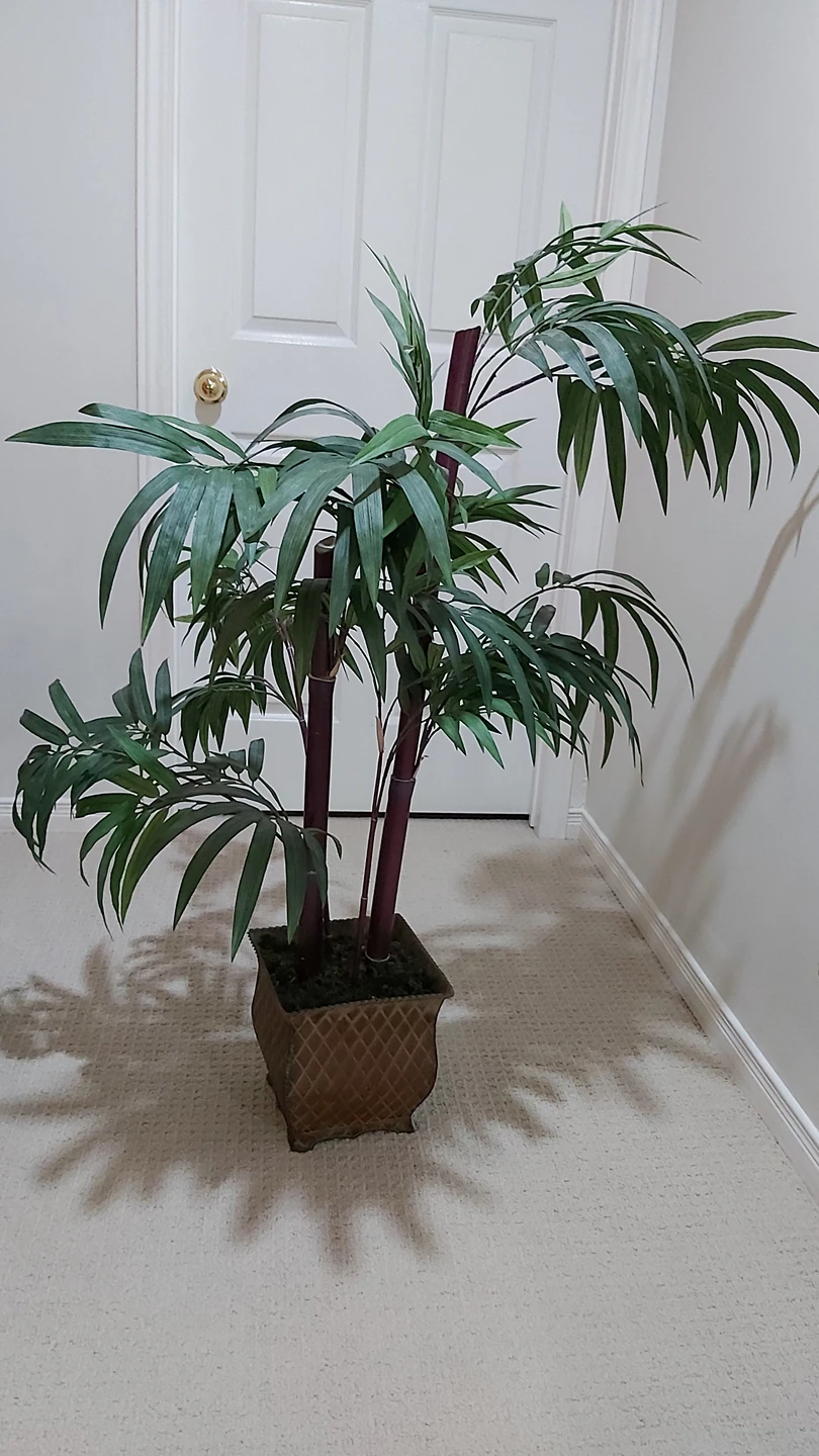 Faux Bamboo Plant - photo 2