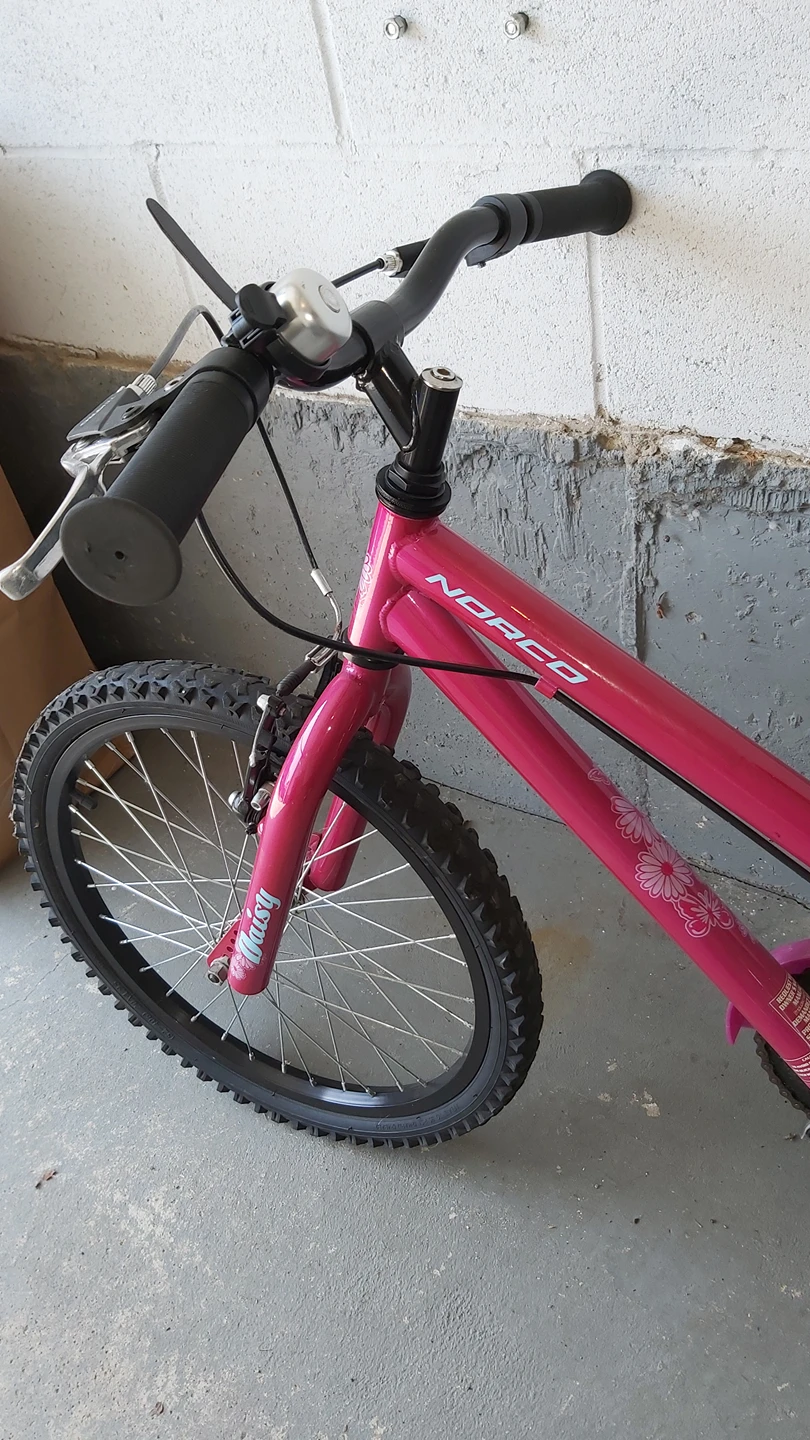 Girls' 20" Bicycle - photo 4